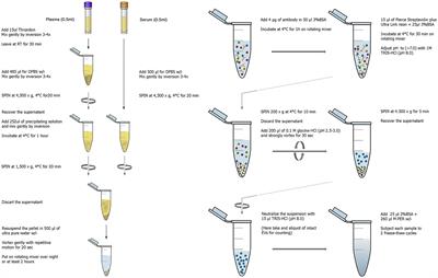 Plasma Extracellular Vesicles Enriched for Neuronal Origin: A Potential Window into Brain Pathologic Processes